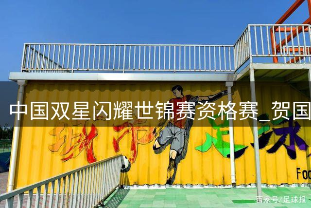 中国双星闪耀世锦赛资格赛 贺国强刘宏宇携手晋级