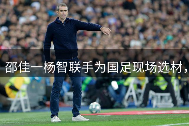 邵佳一杨智联手为国足现场选材，5大新星成重点考察目标，或全部征召
