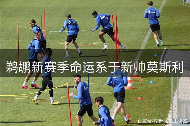 鹈鹕新赛季命运系于新帅莫斯利